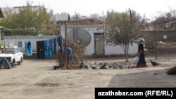 Туркменистан (архивное фото)  