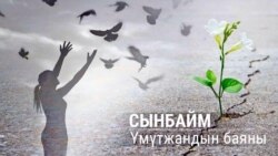 "Сүрөт тартканда кайгымды унутам..."