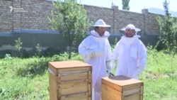 Кесипке маани берген медреселер