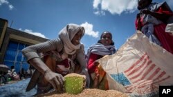 Ethiopia Tigray Famine Looms