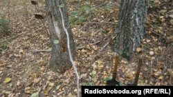 Орієнтовне місце поховання на Чернігівщині полонених бійців під час Другої світової війни