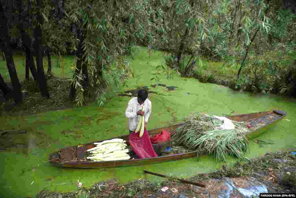 Një banor i Kashmirit mbush një qese me perime në barkën e tij pranë Liqenit Nageen në Srinagar. India nuk ka specifikuar se sa do të zgjasë shtet-rrethimi.