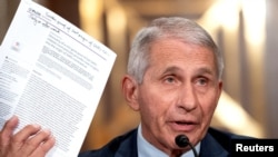 Consilierul principal al președintelui Biden pentru sănătate publică, Anthony Fauci 