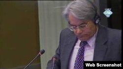 Rupert Smith na suđenju Karadžiću, 15. veljače 2011.