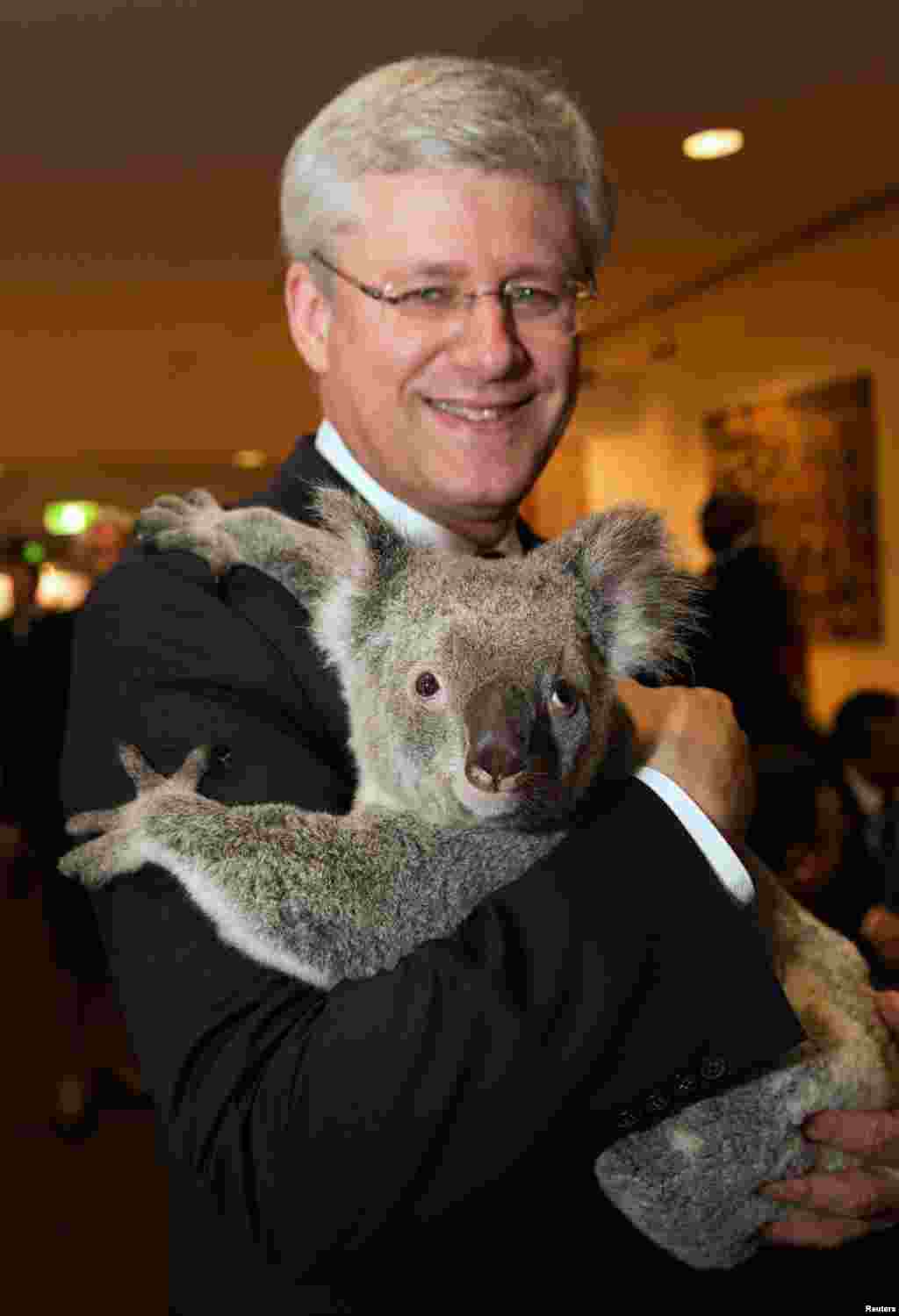 Канаданын премьер-министри Стивен Гарпер.