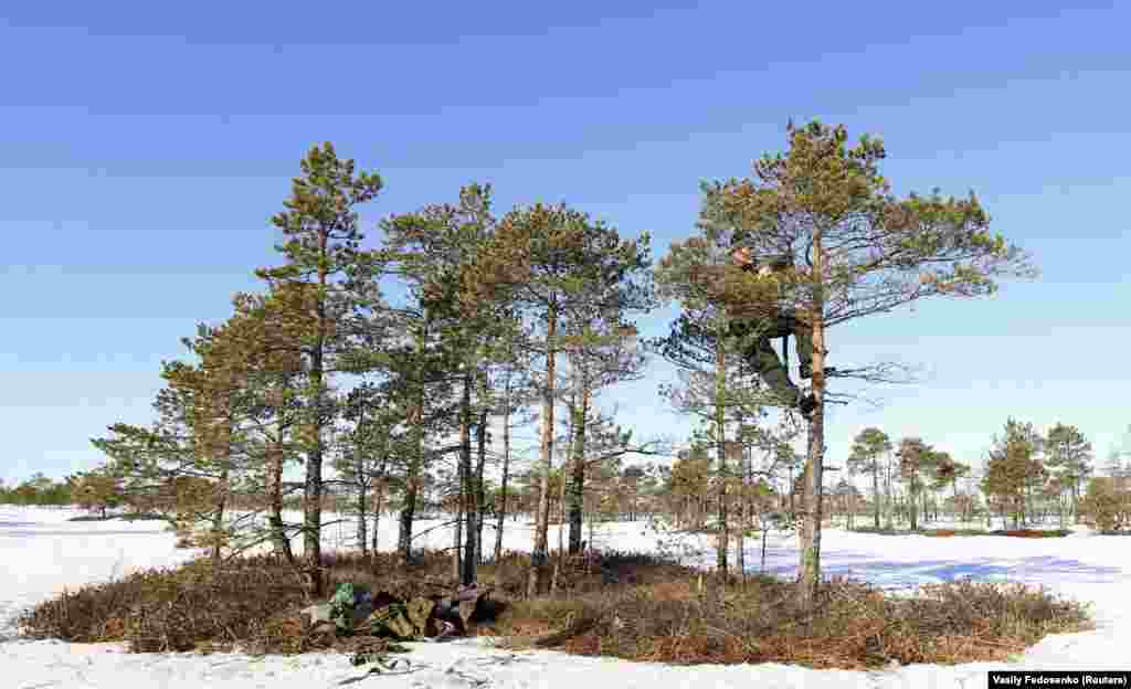 Иваноски еднаш се нашол лице-в-лице со мечка. Таа се кренала на задните нозе на само неколку метри оддалеченост од него и го душкала воздухот пред да замине.