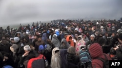 Izbjeglice na grčko-makedonskoj granici, 20. novembar 2015.