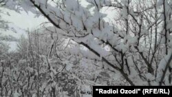 5 АКС аз барфу сармои Бадахшон