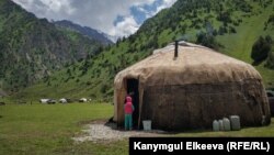 Ош облусу. Алай районундагы жайлоо. 