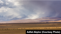 Алайская долина.