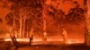 اعلام وضعیت اضطراری در شرق استرالیا به خاطر گسترش آتش‌سوز‌ی