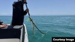 Министрлик тараткан сүрөт.