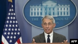 Doctorul Anthony Fauci