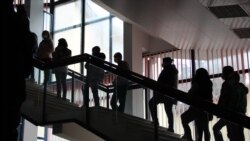 Elektronsko glasanje, federalne kalkulacije i polarni medvjedi