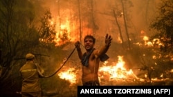 Un localnic, în timpul unei încercări de stingere a incendiilor forestiere de pe insula Evia (Euboea), a doua insulă ca mărime din Grecia, 8 august 2021.