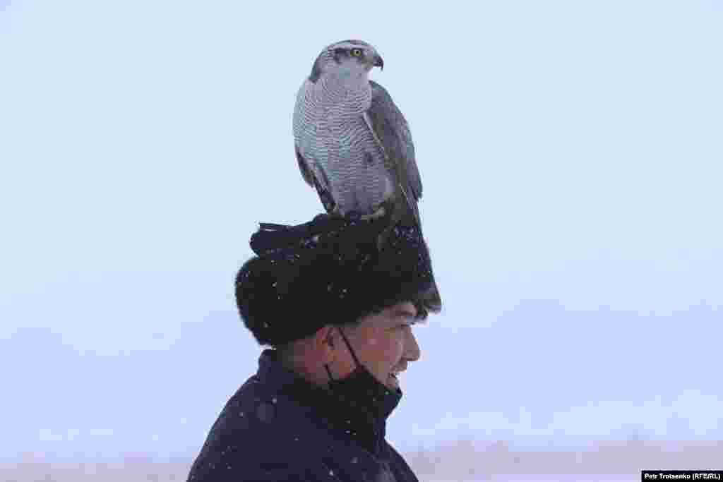 Мужчина с ловчей птицей на голове.