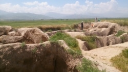 «Бурана» шаар чалдыбары - айтылуу Баласагындын урандылары. 7-июнь, 2015-жыл.