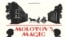 "Волшебный фонарь Молотова" Рейчел Полонски