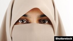 این قانون پوشیدن «لباس‌هایی که شناسایی فرد در ادارات دولتی و اماکن عمومی را غیرممکن می‌کنند»، ممنوع کرده است