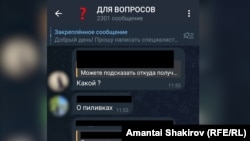 Кыргызстандагы ата-энелер үчүн ачылган тайпа