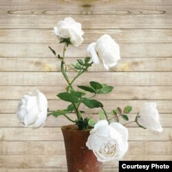 Квітка з порцеляни, подарована Меланією Трамп Акі Абе. Автор – Володимир Каневський