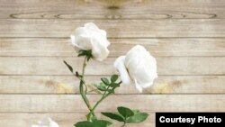 Квітка з порцеляни, подарована Меланією Трамп Акі Абе. Автор – Володимир Каневський