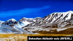 Иллюстрациялык сүрөт