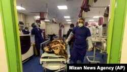 محمد علی وکیلی، یک عضو پارلمان دیروز در حساب توییتر خود از مثبت بودن آزمایش این ۴ وکیل خبر داده است.