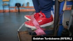 Машыгуучу арабага байланган Арстанбектин буту.