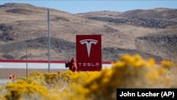 У місті Ріно в Неваді розташований найбільший завод фірми Tesla, що випускає електробатареї, один із ключових компонентів популярних автомобілів