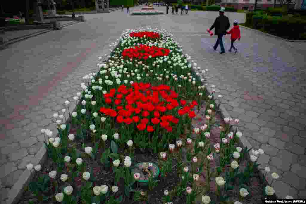 Быйыл калааны көрктөндүрүү үчүн жоогазындардын 18 түрү тигилген.&nbsp;