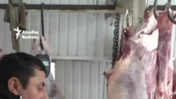 Monqolustan əti Azərbaycana necə gətirilir?