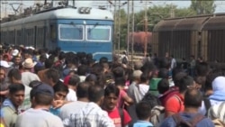 Vrapi drejt Serbisë