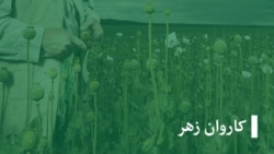 حکایت حسیب از داستان معتاد شدنش