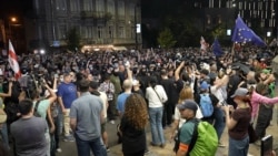 Georgian Opposition Protesters Gather Without Incident A Day After Violent Clashes