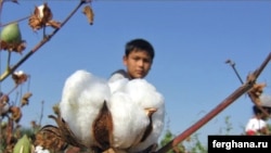 Өзбекстан пахта талааларында жаш балдарды мажбурлап иштетип жатканы үчүн көптөн бери сындалып келет