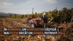 Cât câștigă și cât cheltuie românii în funcție de ce fac și unde trăiesc