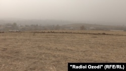 Нишонагузории тақсими замин дар ноҳияи Рӯдакӣ, 11 ноябри соли 2020.