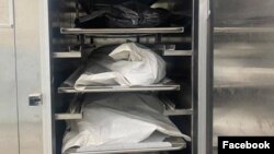 Иллюстрация.