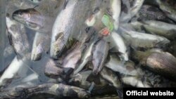 Иллюстративное фото.