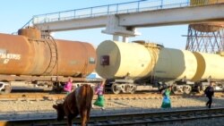 Mallar çölde-de, işikde hem aç ölýär, adamlar gaty aljyraýar