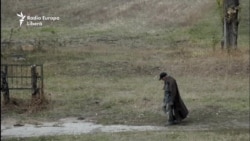 Грани ментального мира (VIDEO)