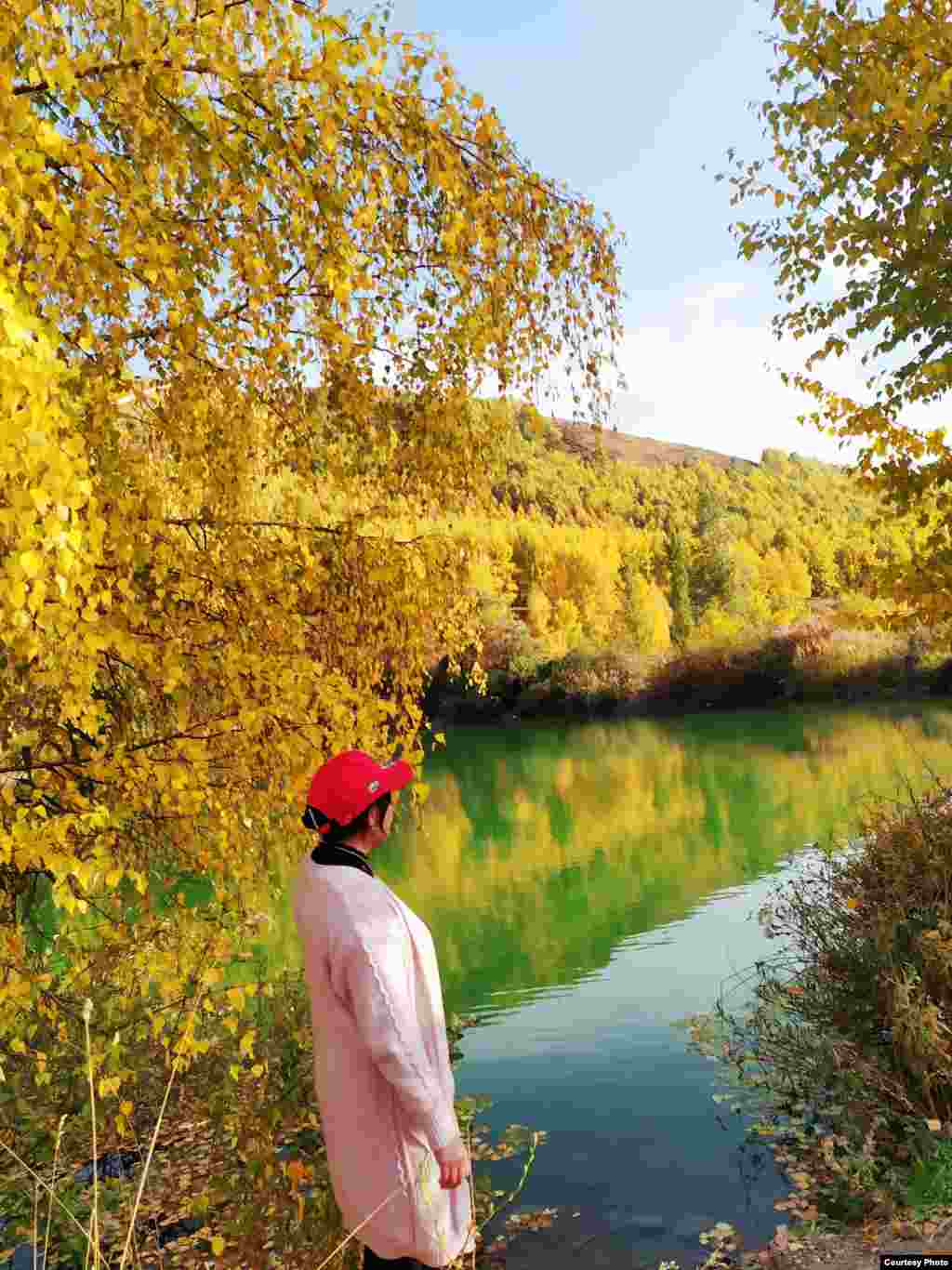 Ойлой калып ошол мерез өлүмдү, Оюм неге миң калчанып бөлүндү? Бак аралап аста бассам бариктер, Бут алдыма килем болуп төгүлдү. Көңүлүмдөй муңга баткан бүгүнкү, Күз элеси капалуудай көрүндү, Алтын күз да капалуудай көрүндү... (Назгүл Осмонова)