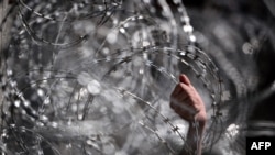 Një migrant kap me dorë telin me gjemba të vendosur në kufirin Greqi-Maqedoni, pranë fshatit grek Idomeni. 1mars, 2016