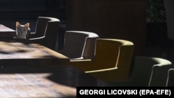 Tavolina të zbrazëta në një restorant në Shkup - Fotografi nga arkivi. 