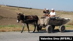 În provincie, pe drumul reformelor