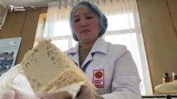 Жалал-Абад: Орусиядан кайткан Гүлзада чөптөн экосамын жасайт 