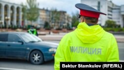 Иллюстративдик сүрөт. 