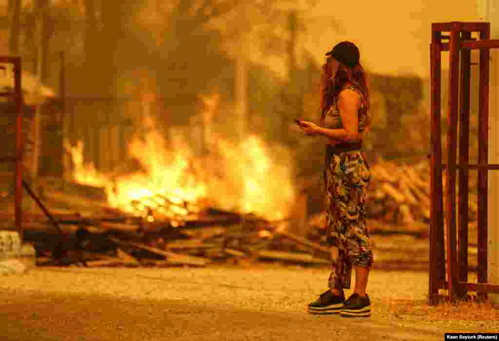 Влада розслідує причини пожеж.&nbsp;Але Фахреттін Алтун, директор з комунікацій президента Туреччини, припустив у твіттері, що причиною пожеж став підпал, і додав, що &laquo;відповідальним за це доведеться відповідати за напади на природу та ліси&raquo;
