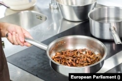 Robert Flore séf tücsökből is készít ételeket